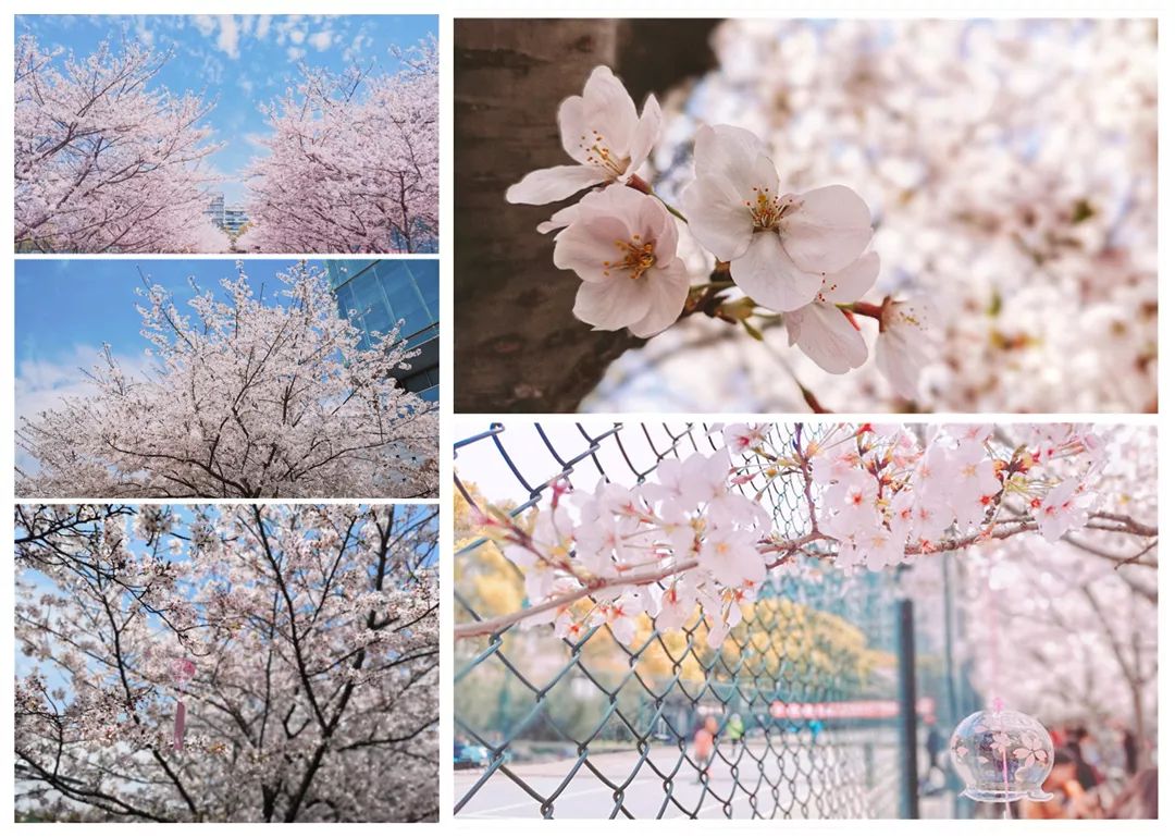 微信图片_20190423134511.jpg