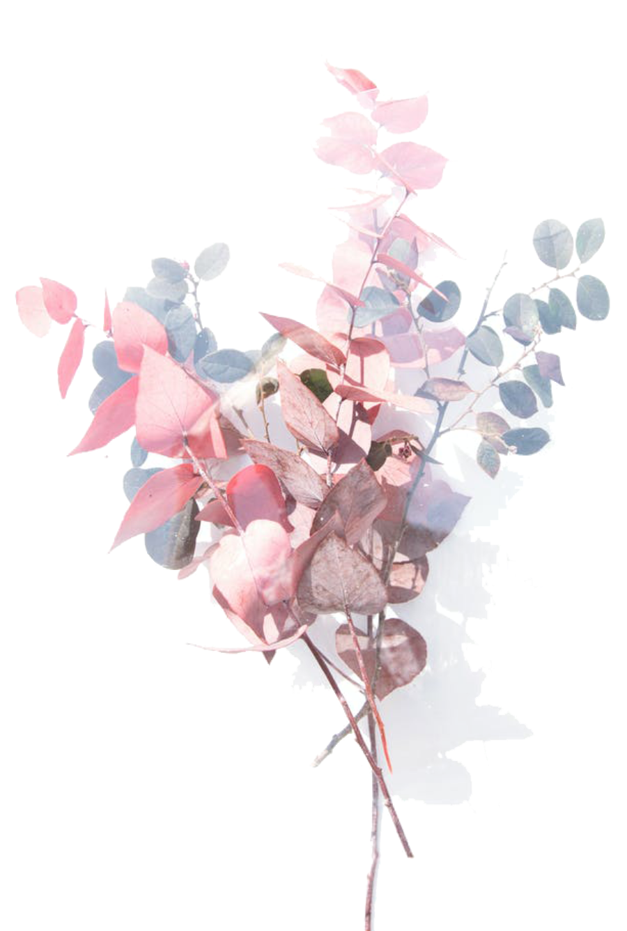 1626515683559168.png