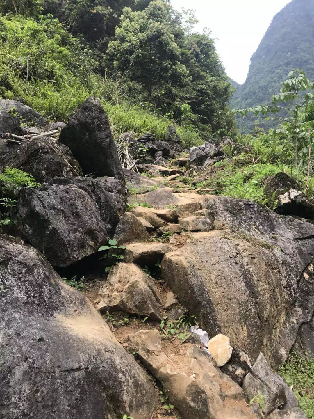 微信图片_20190423135239.jpg