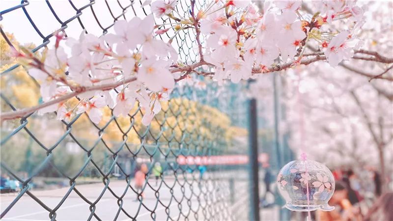 微信图片_20190507102138.jpg