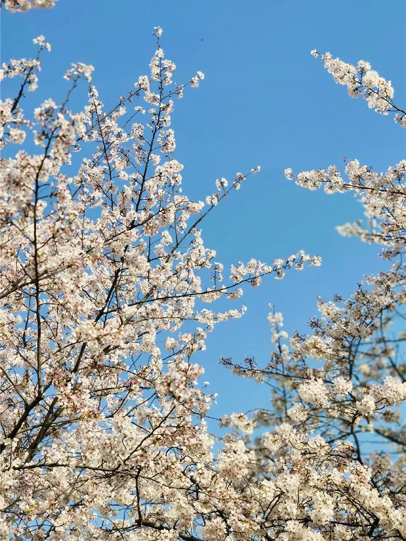 微信图片_20190507100753.jpg